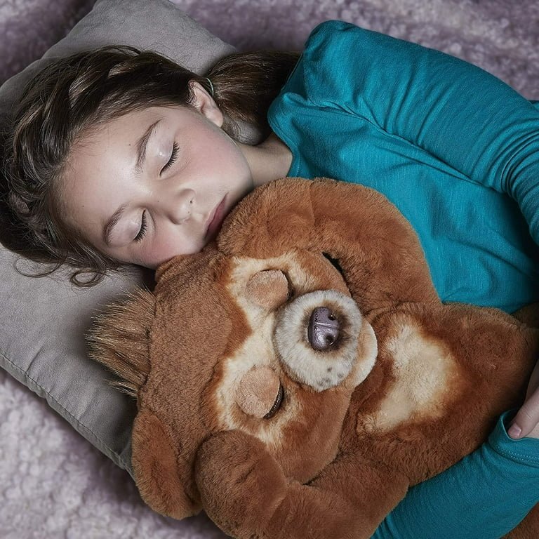 Cubby the Curious Bear Interactive Plush Toy Review and Features