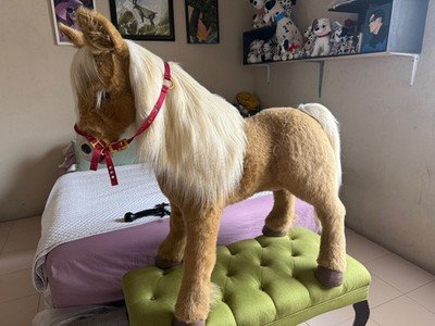 FurReal Friends Butterscotch Pony Interactive Horse Toy Guide